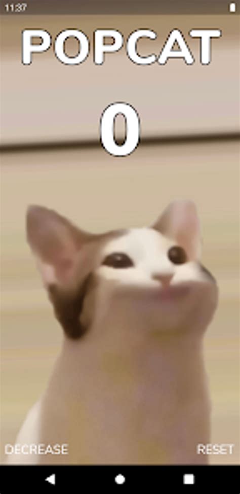 Popcat .